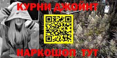 гашик Будённовск