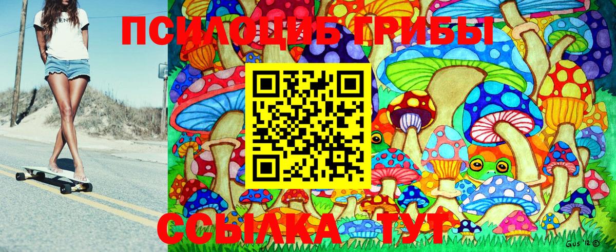 Аксай  Псилоцибиновые грибы Cubensis  Вход с VPN 