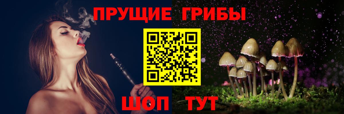 Галлюциногенные грибы GOLDEN TEACHER Аксай